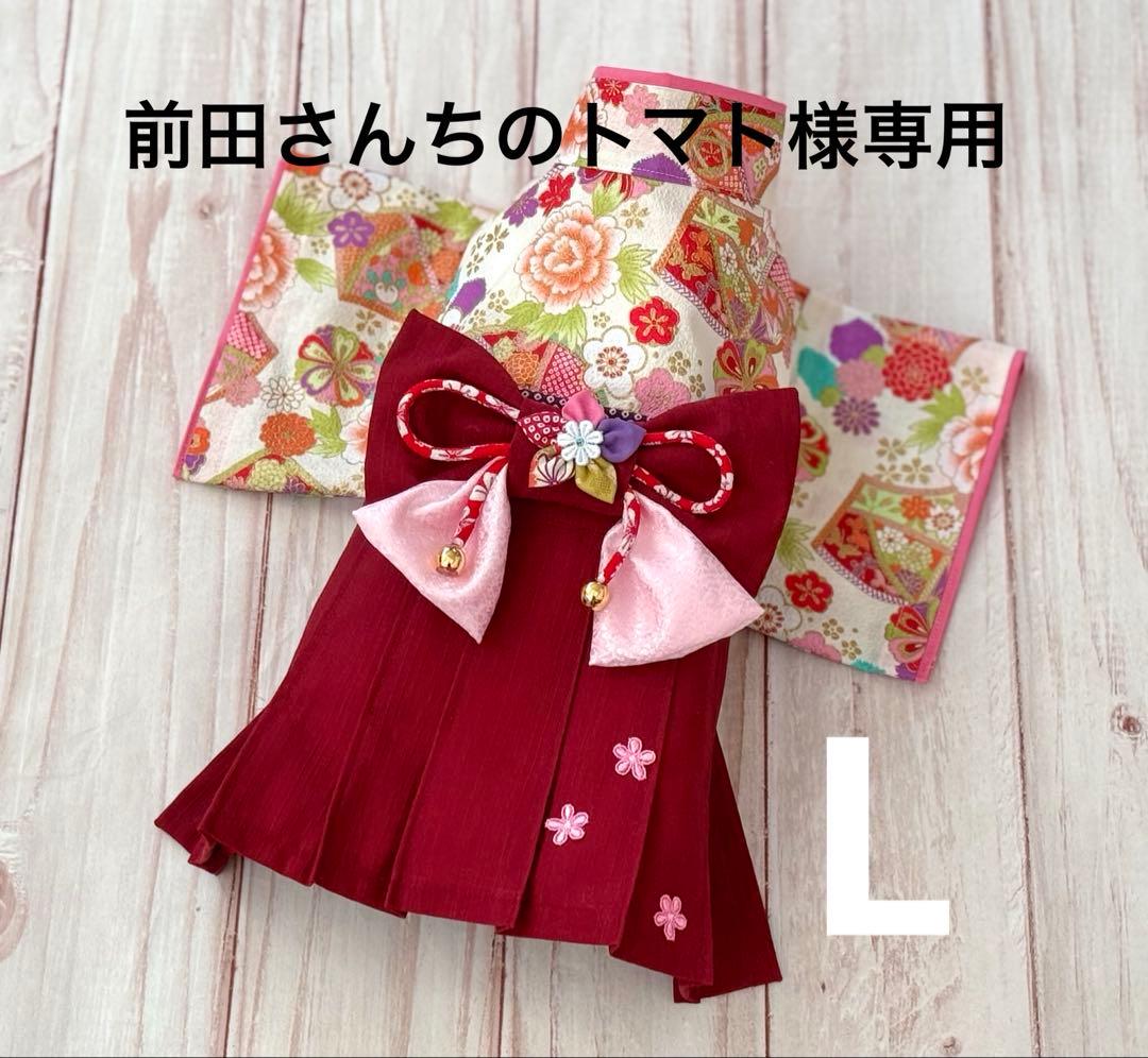 前田さんちのトマト