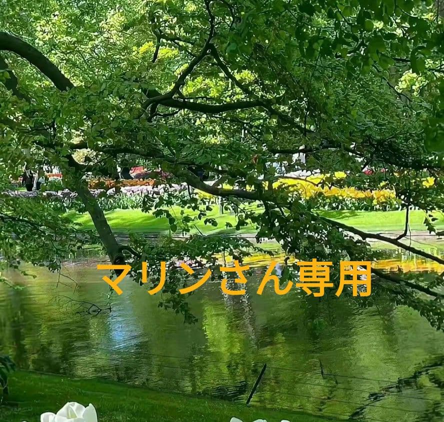 マリンさん専用