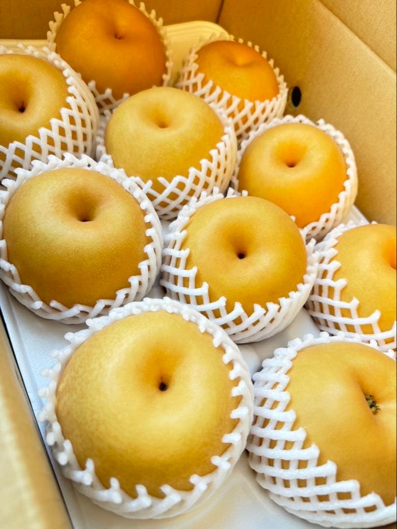梨　新高梨　10玉を2箱　02