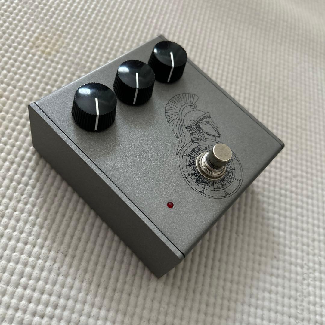 ギター organic sounds ARES