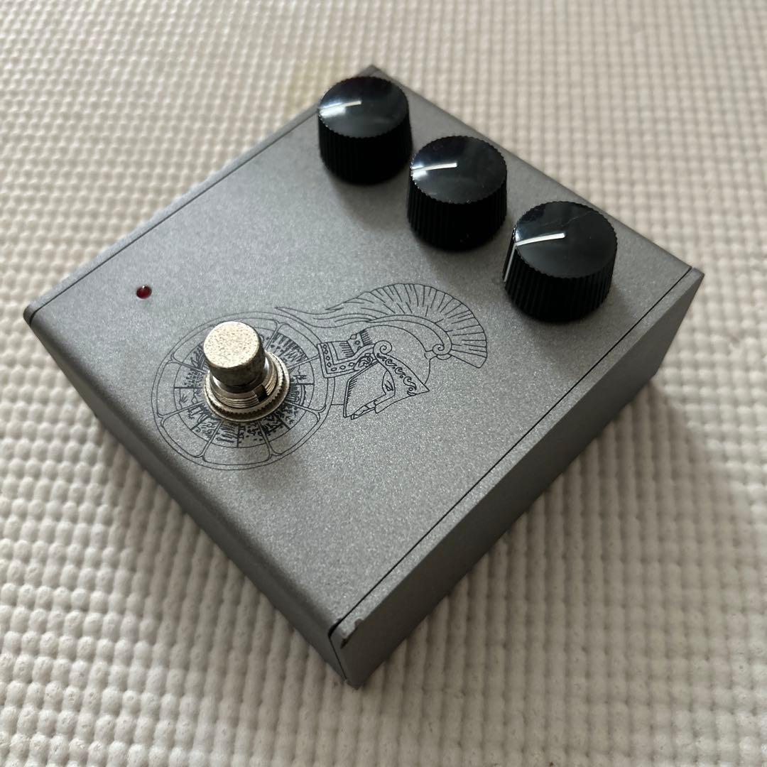 ギター organic sounds ARES