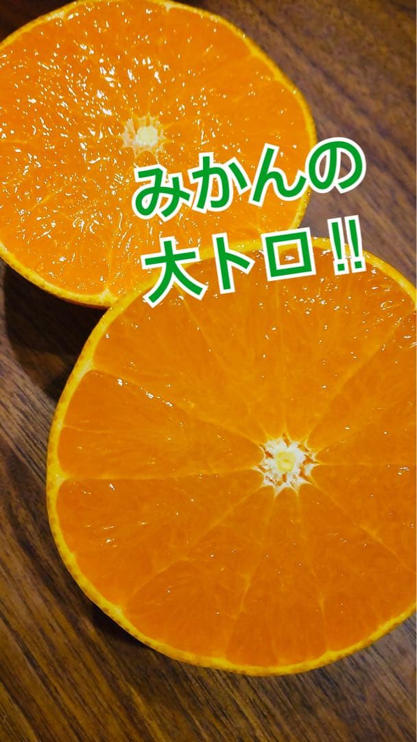せとか12玉×2箱セット