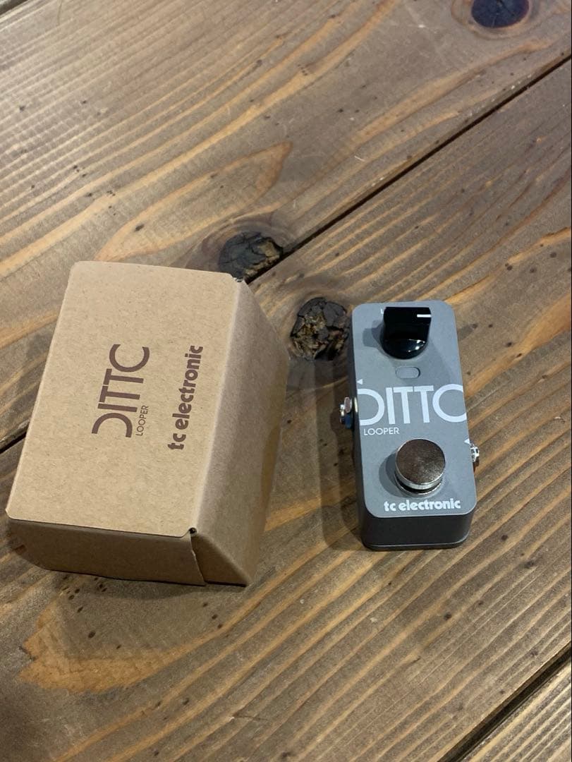 tc electronic DITTO2 looper ルーパー