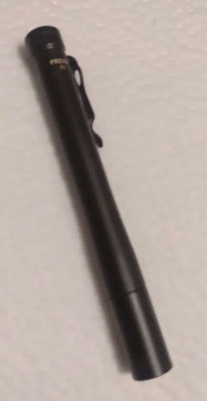 prion P2 SUREFIRE フラッシュライト プロライトジャパン CPF