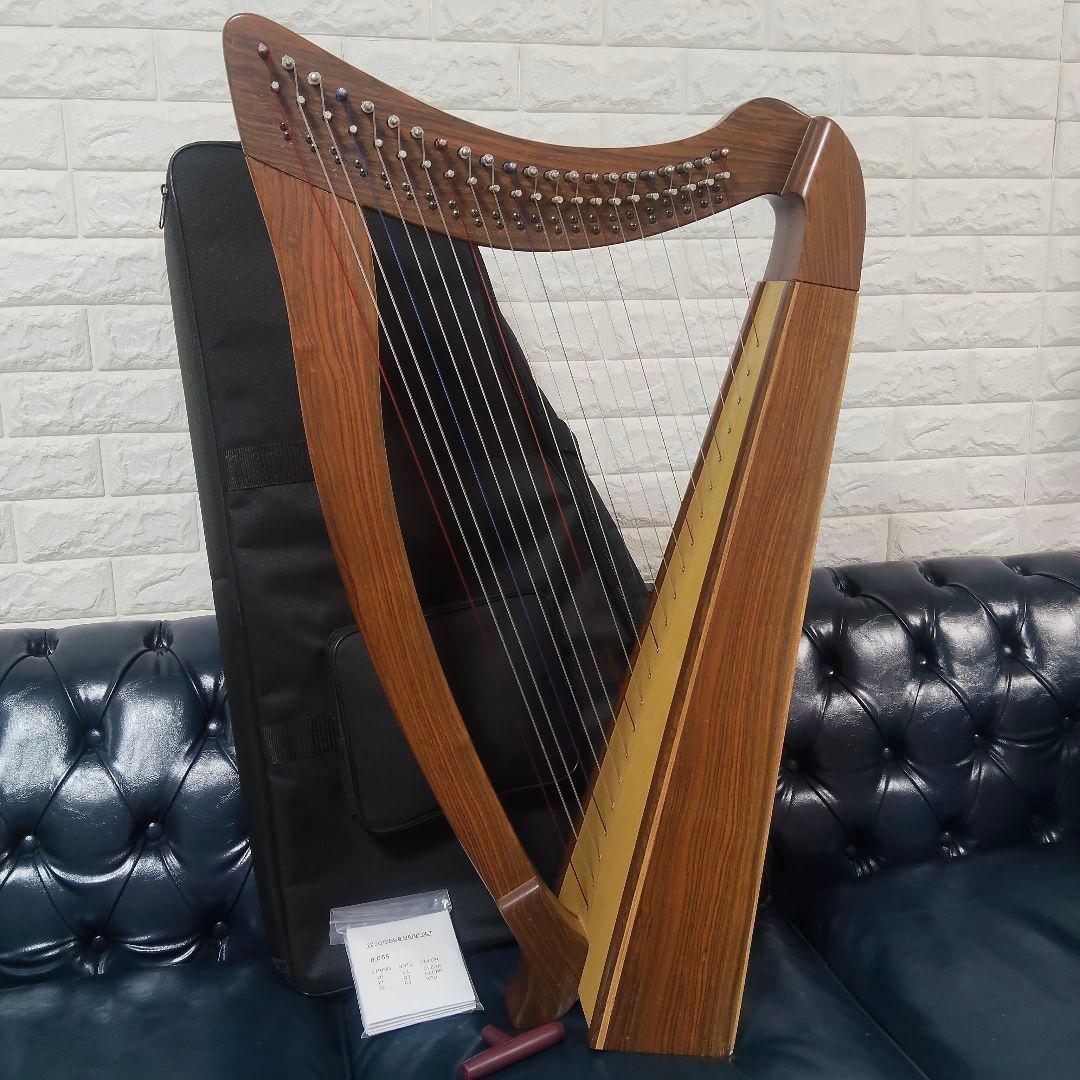 【美品】22弦 スモールハープ（アイリッシュスタイル） ケース・付属品付き 木製