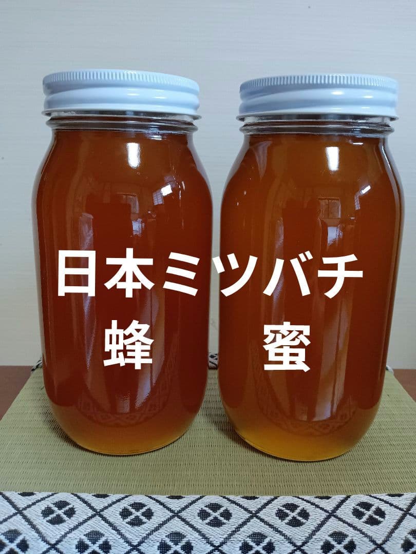 日本ミツバチの蜂蜜