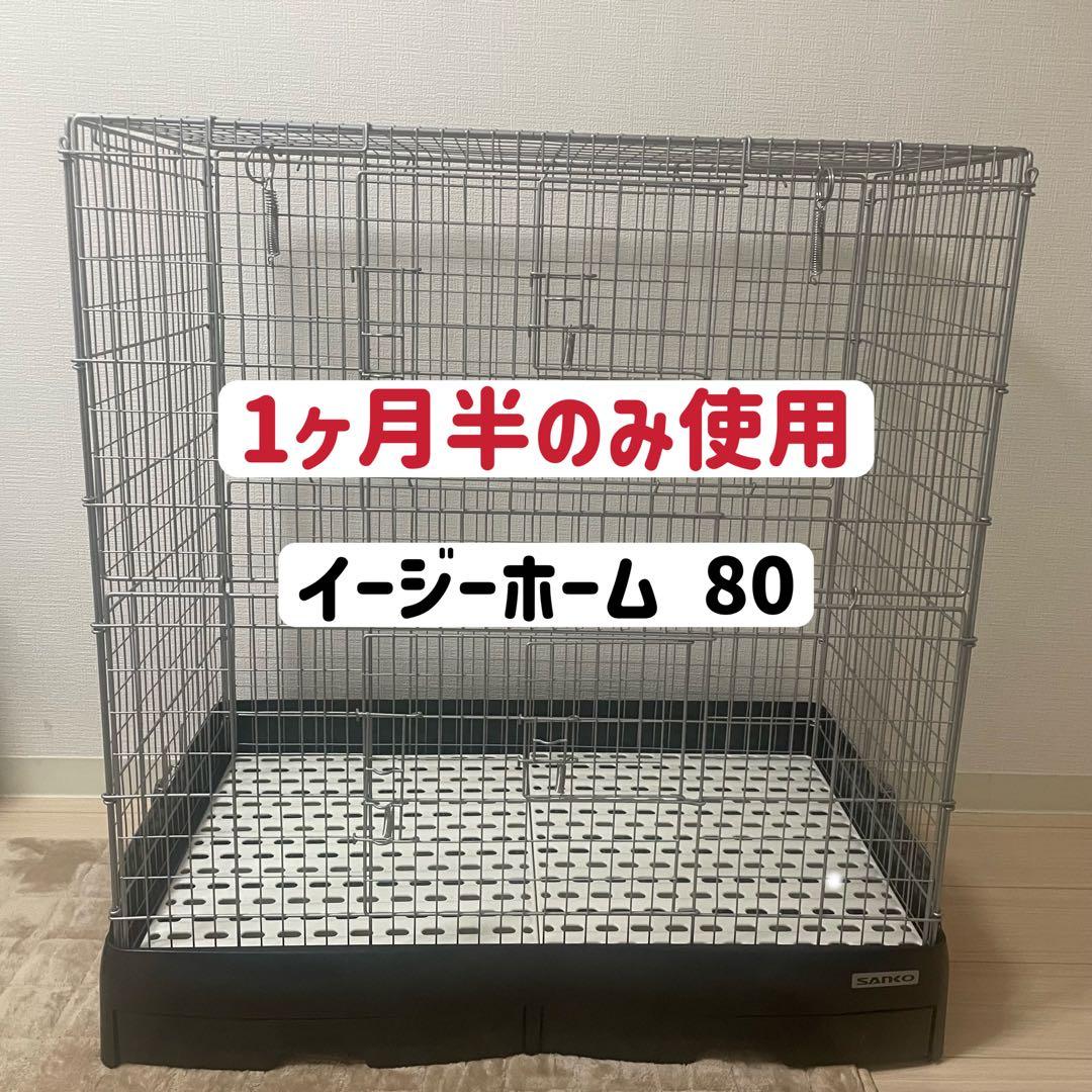 相川