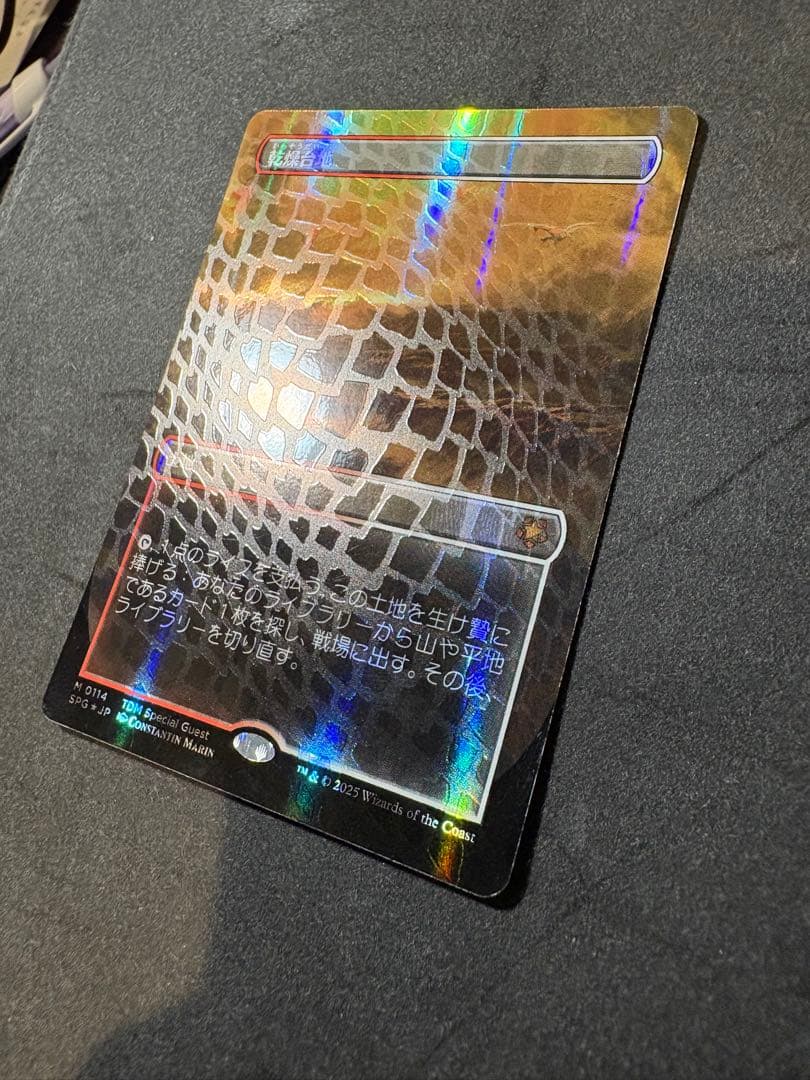 MTG 乾燥台地 0114 ドラゴンスケイルFOIL