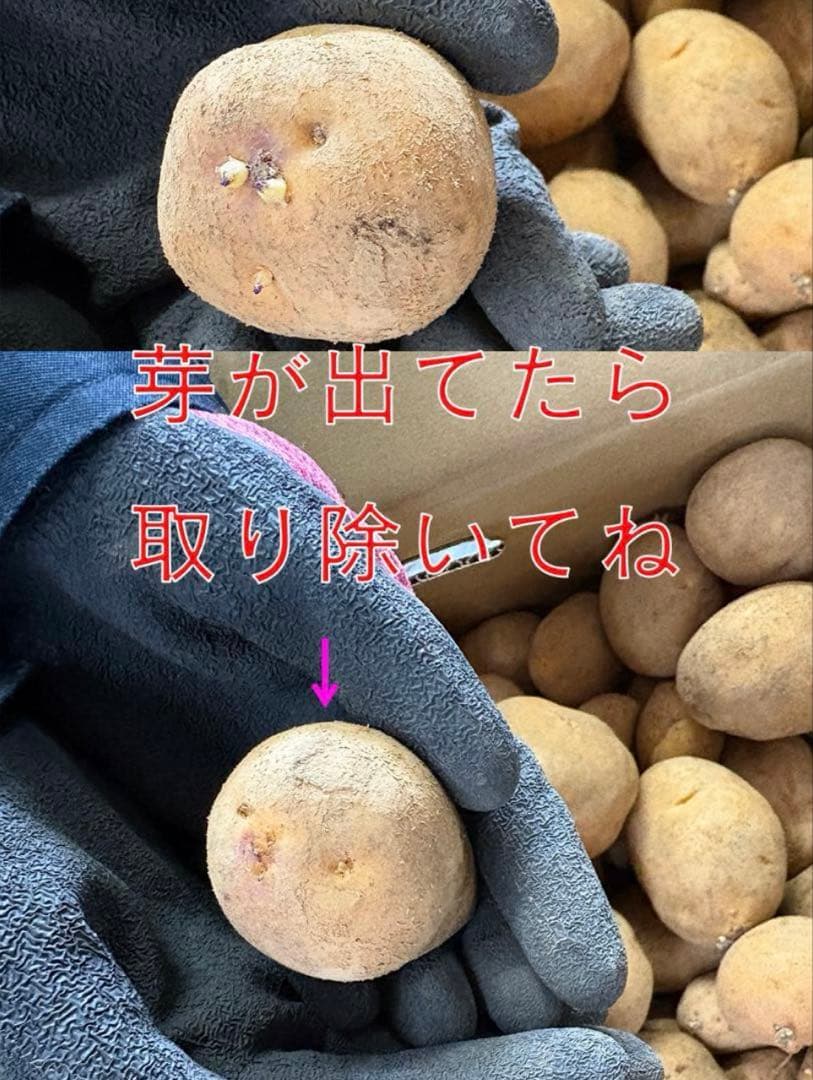 【ジョニー】北海道産じゃがいも（インカのめざめ）　大小混み20kg