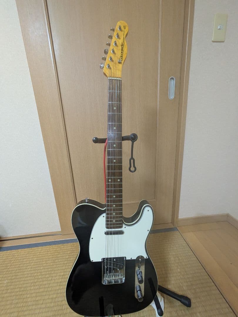 EDWARDS E-TE-100CTM/LT ダンカンPU ラッカー