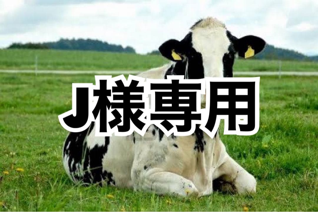 画像内容