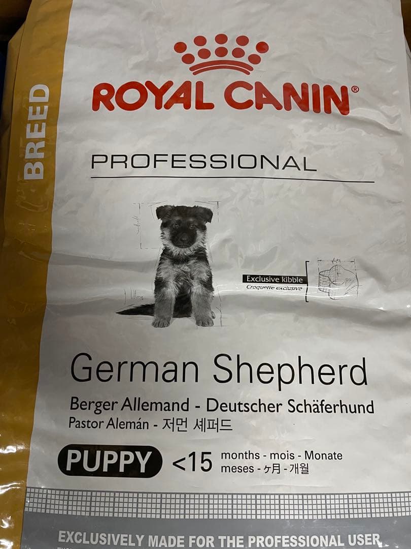 ロイヤルカナン　ジャーマンシェパード　仔犬