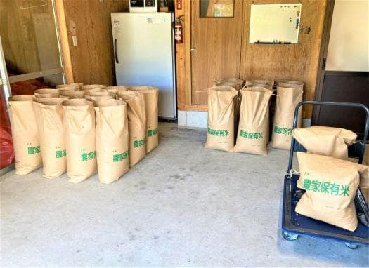 農家保有米 令和7年産 コシヒカリ 20kg(5kg×4) 玄米 20キロ 新米