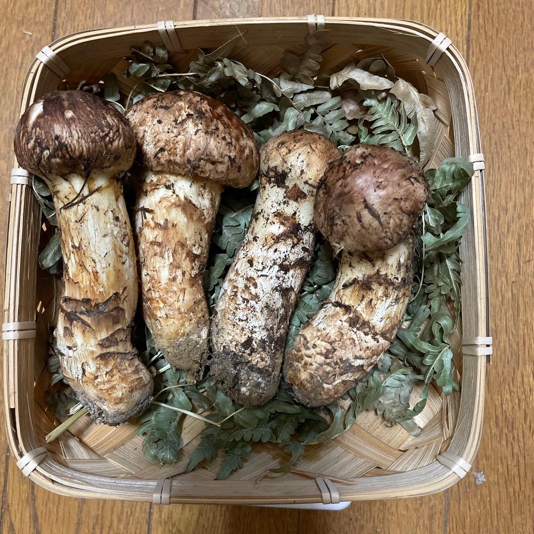 岩手県久慈市産松茸220g