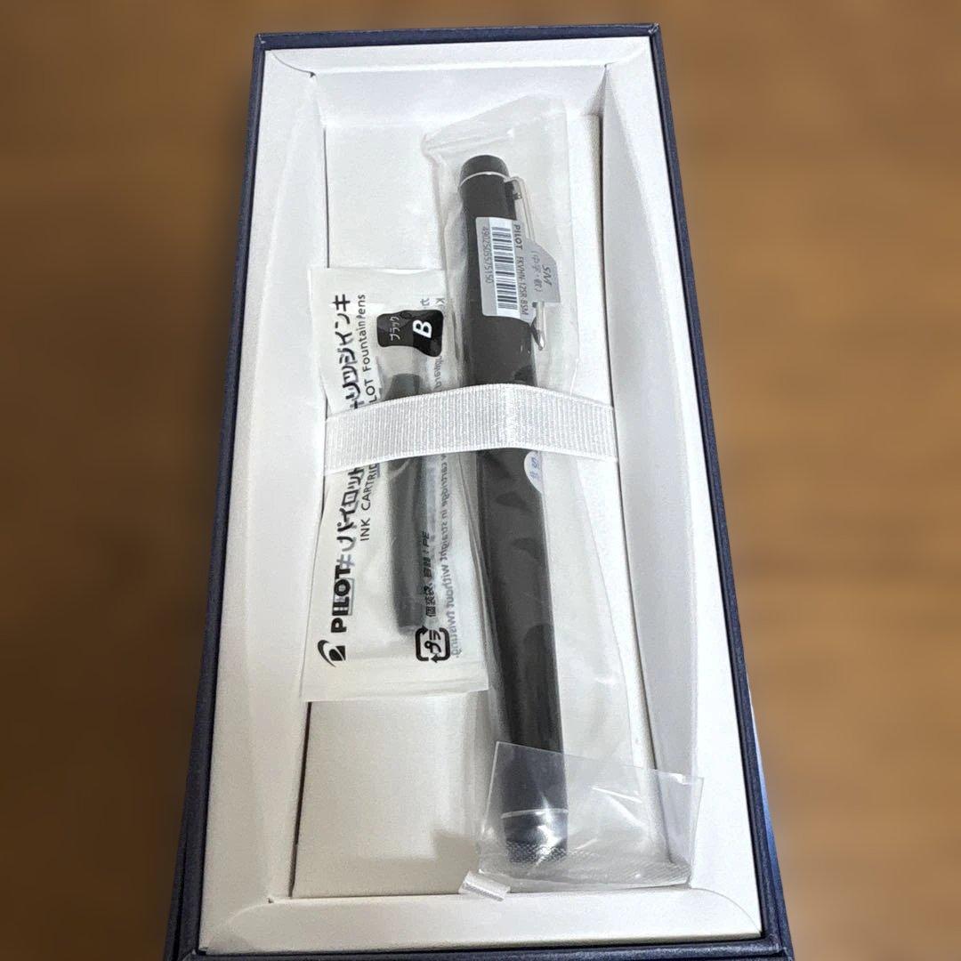 パイロット 万年筆 カスタムヘイジ91 ソフト中字 FKVHN-12SR-BSM