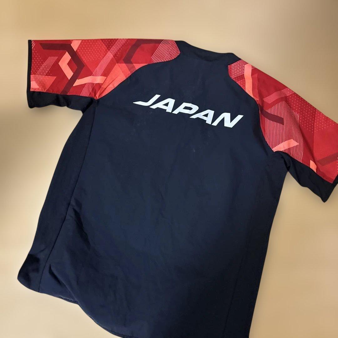 日本代表ピステ