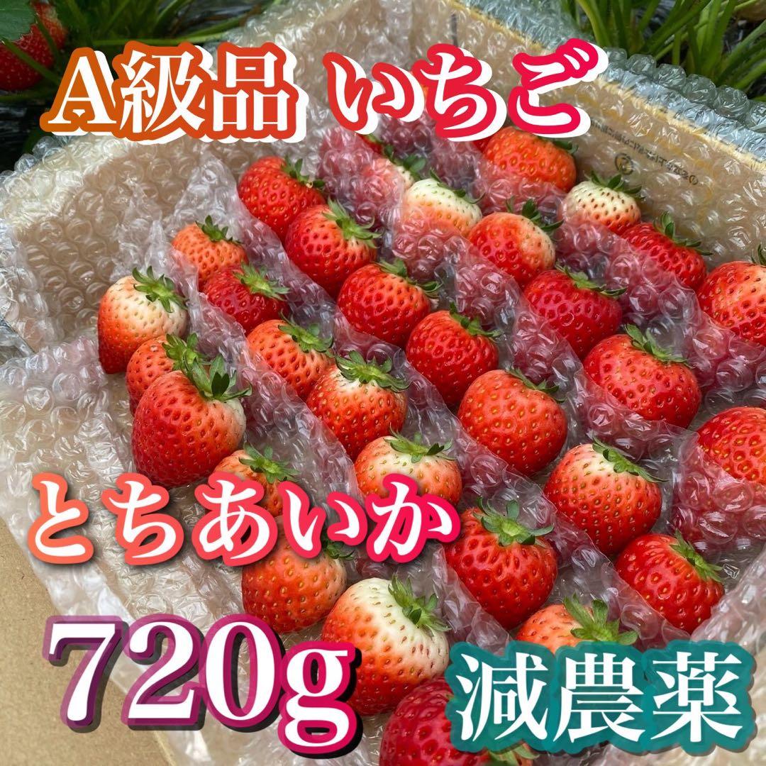 三田村さま専用　とちあいか いちご 4箱