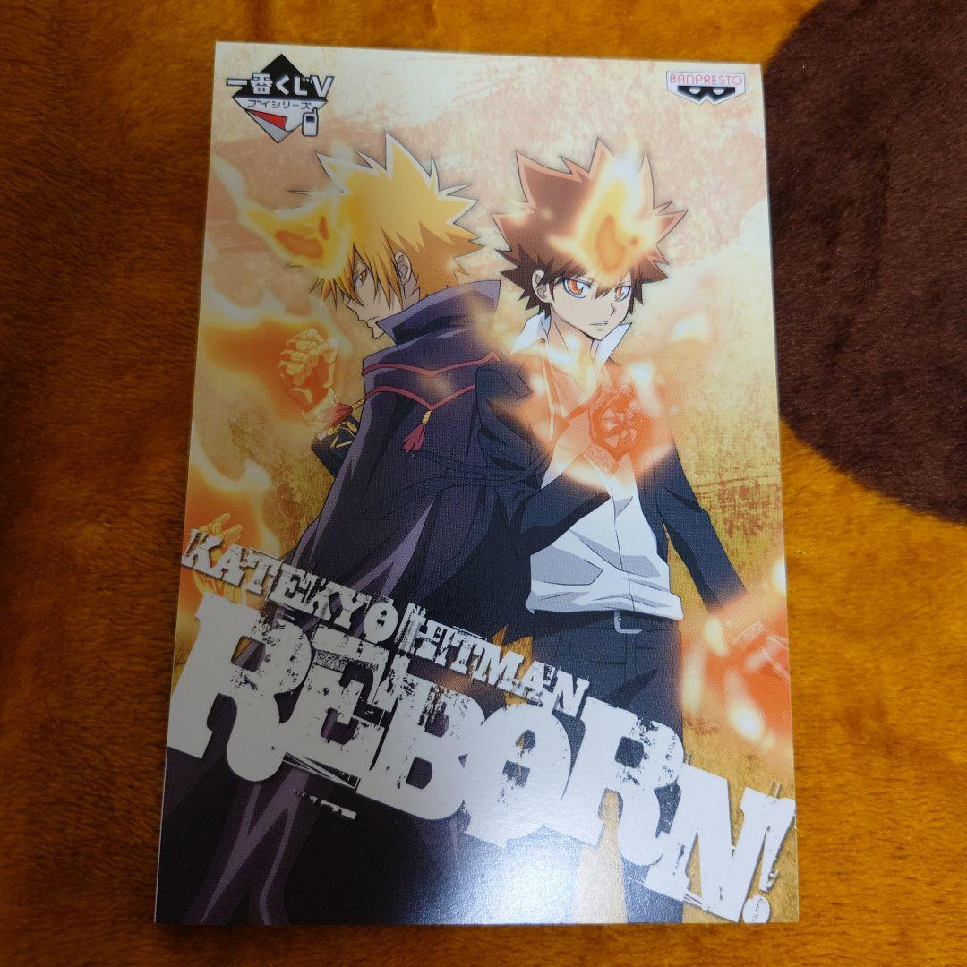 家庭教師ヒットマンREBORN!　一番くじV ポストカード　プリーモ&ツナ