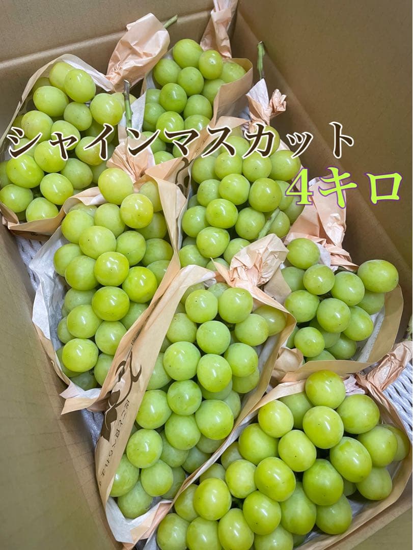 残りわずか☆シャインマスカット　4kg /クイーンルージュ、2キロも出品中