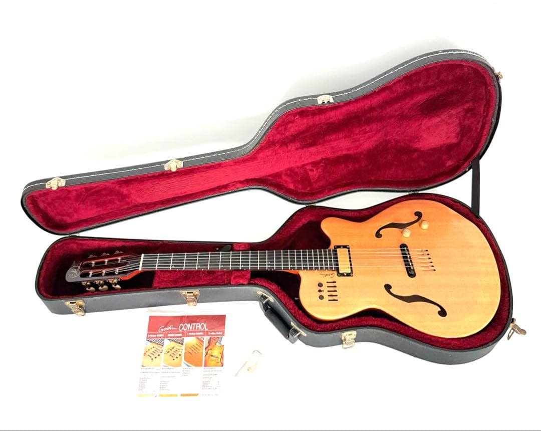 【希少】GODIN MULTIAC JAZZ SA セミアコースティックギター