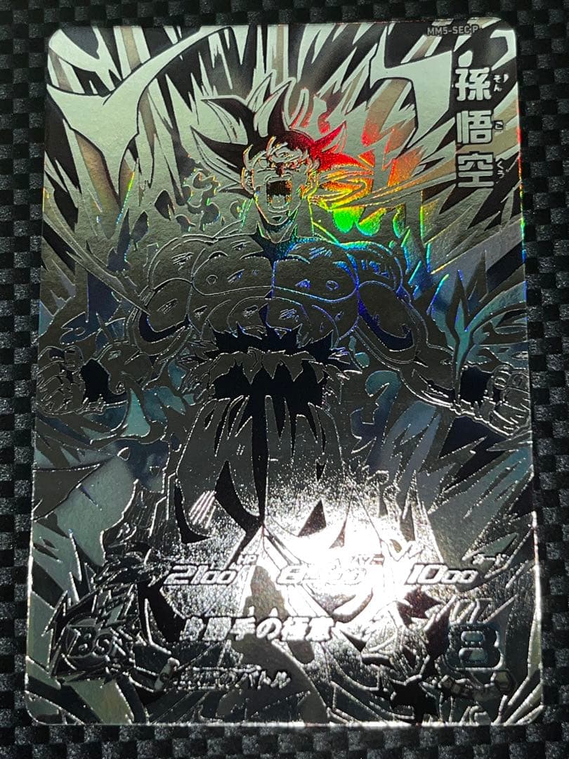 MM5-SEC P 孫悟空