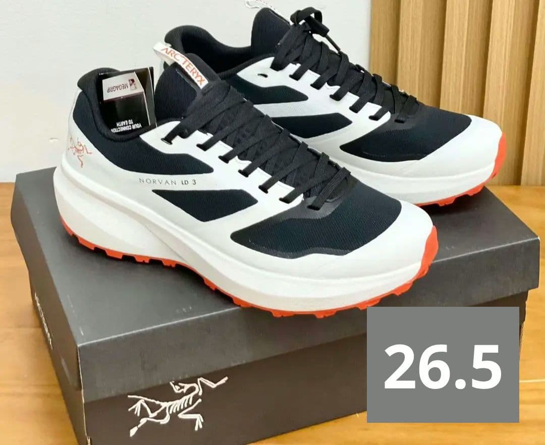 ARC'TERYX  アークテリクストレッキング シューズ
