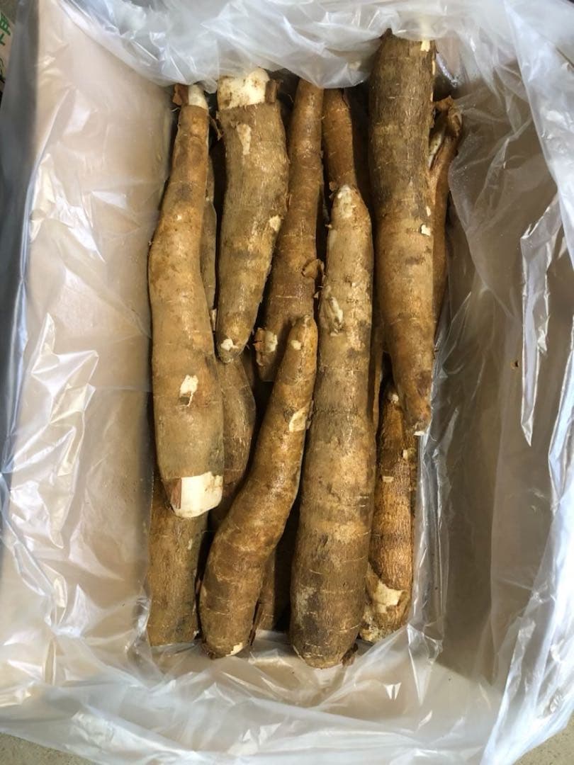 徳之島産キャッサバ薄黄色芋20キロ入り