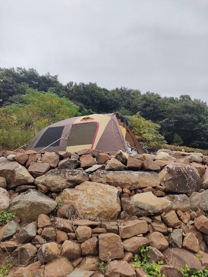 Ogawa ティエラ3
