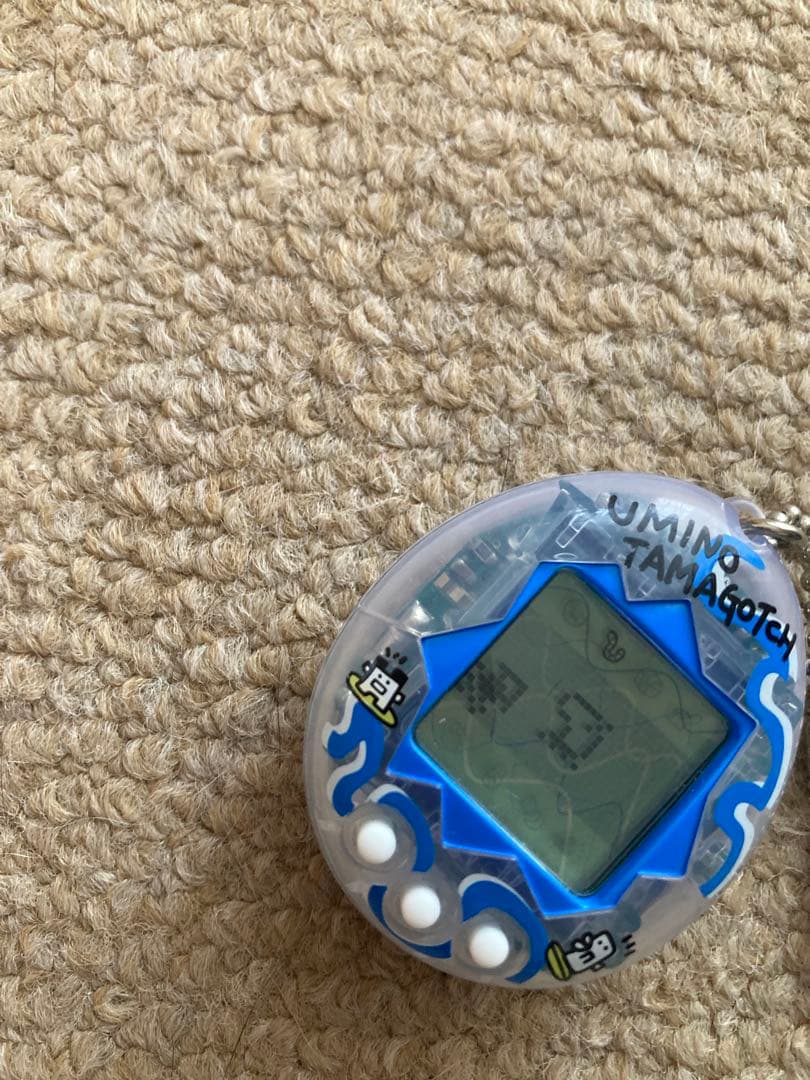 青 スケルトン透明柄1997年製　海で発見‼︎たまごっち
