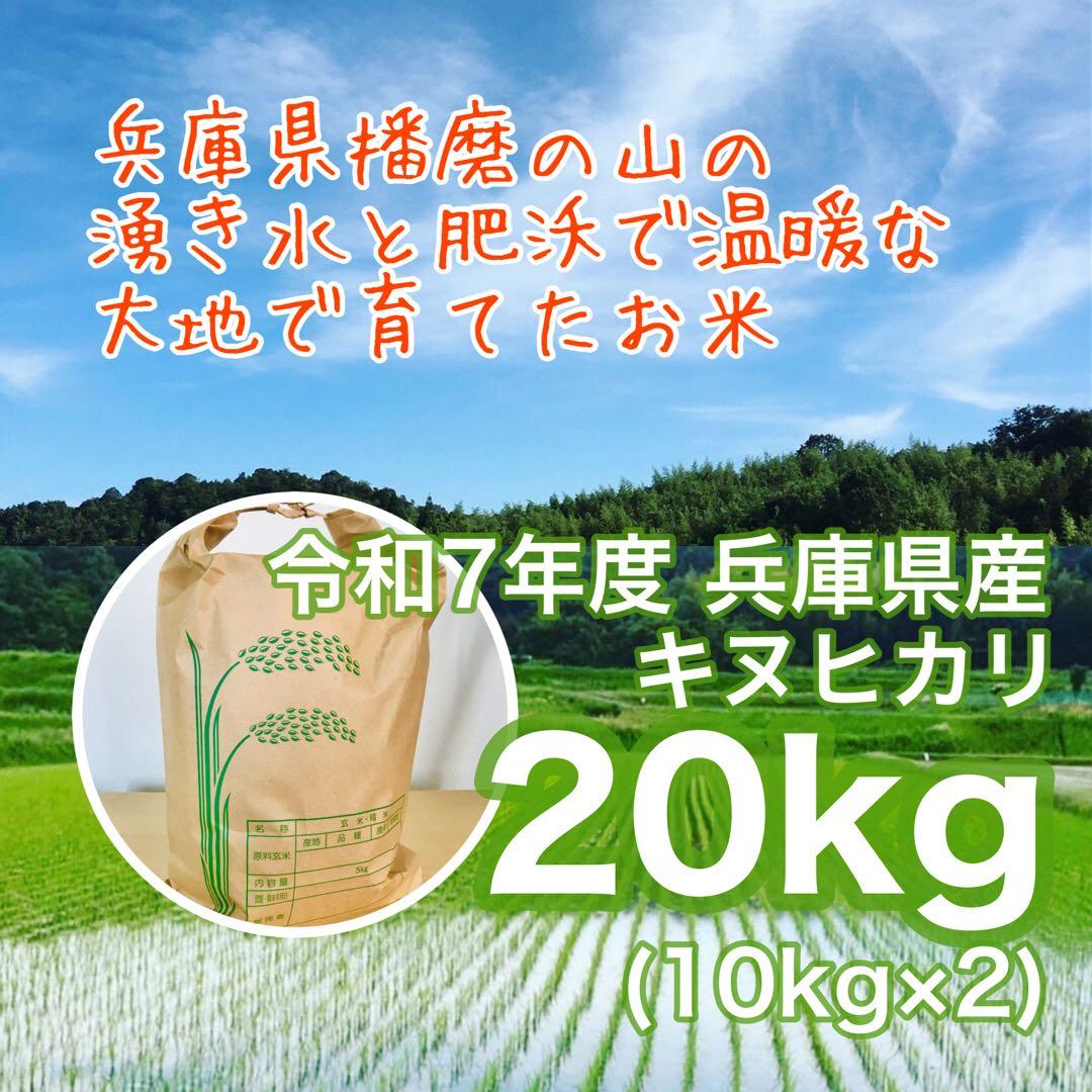 新米★ 山の湧き水で育てた農家のお米 兵庫県産キヌヒカリ 20kg(10kg×2