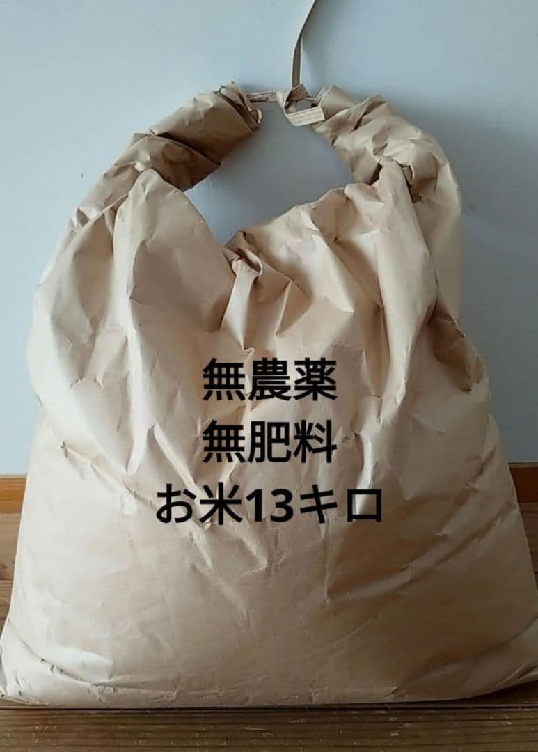 【週末限定！！】無農薬お米　13キロ　無農薬　無肥料　令和7年収穫　玄米