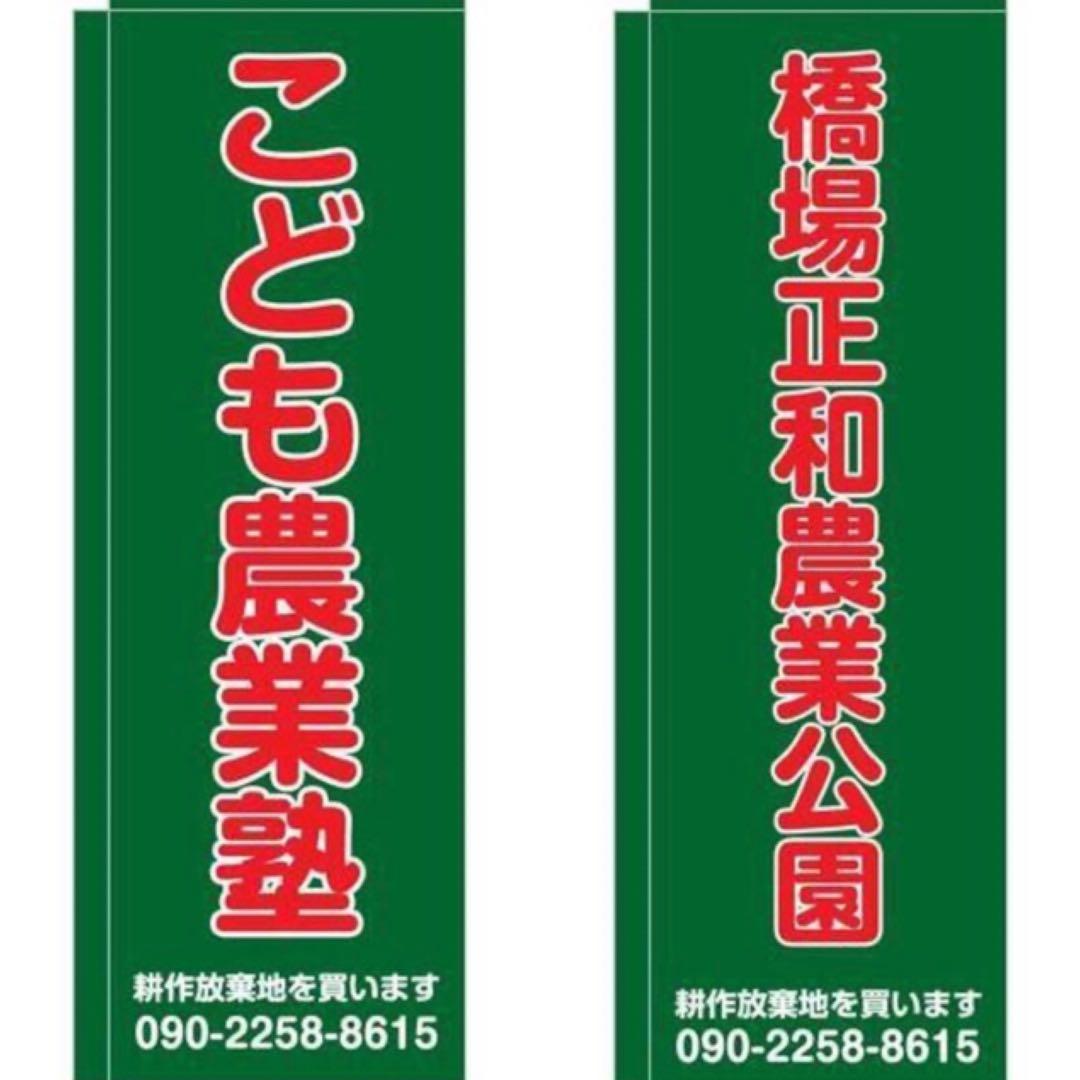 花乙女コレクション【渡辺晋　木馬と少女】購入金額より60％お値引き！！