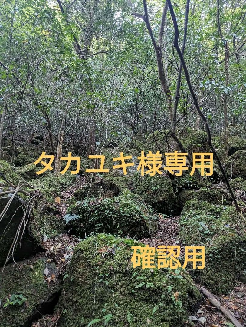 タカユキ