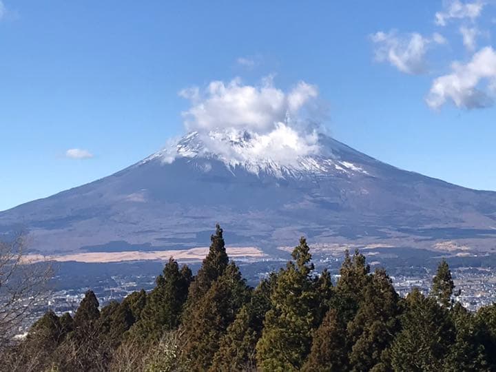 掲示板