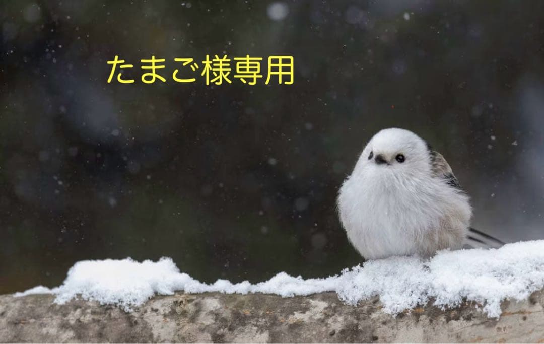 「たまご」