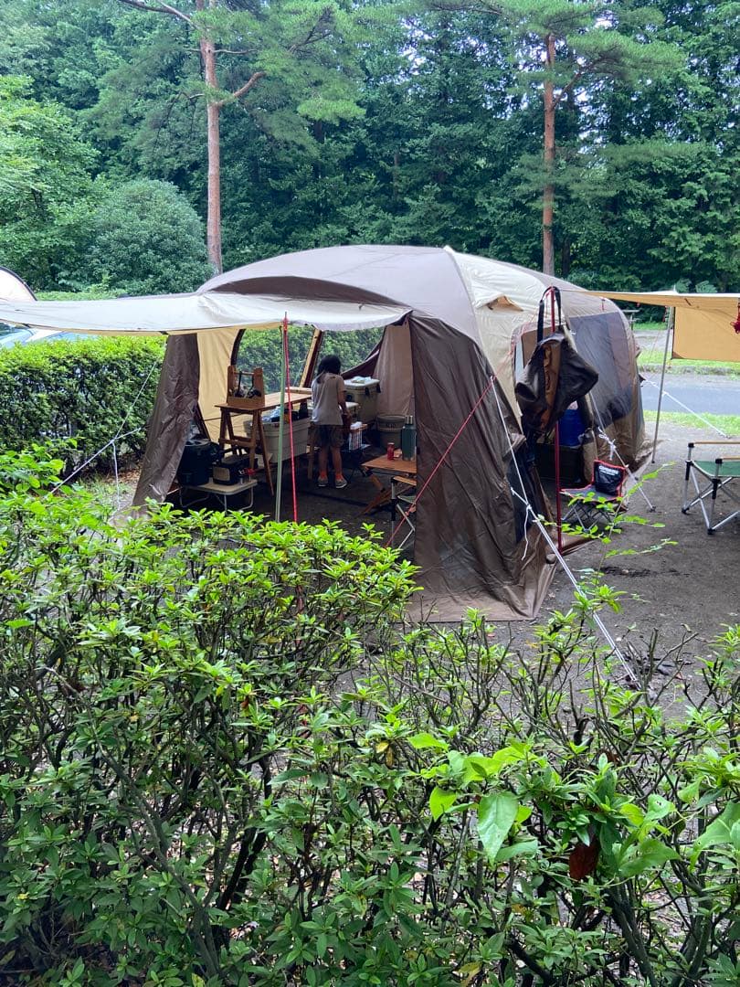 お値下げ✳︎Ogawa ティエララルゴ