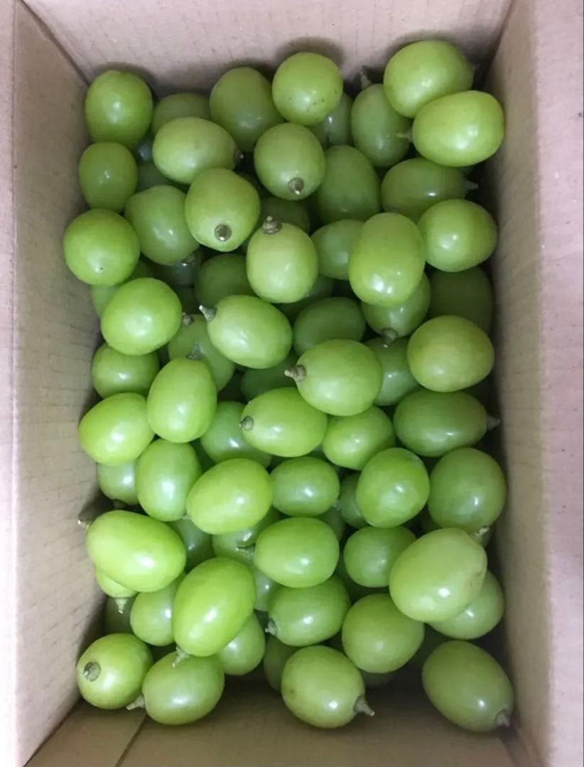 訳ありシャインマスカット　箱抜き4キロ　山梨　ぶどう