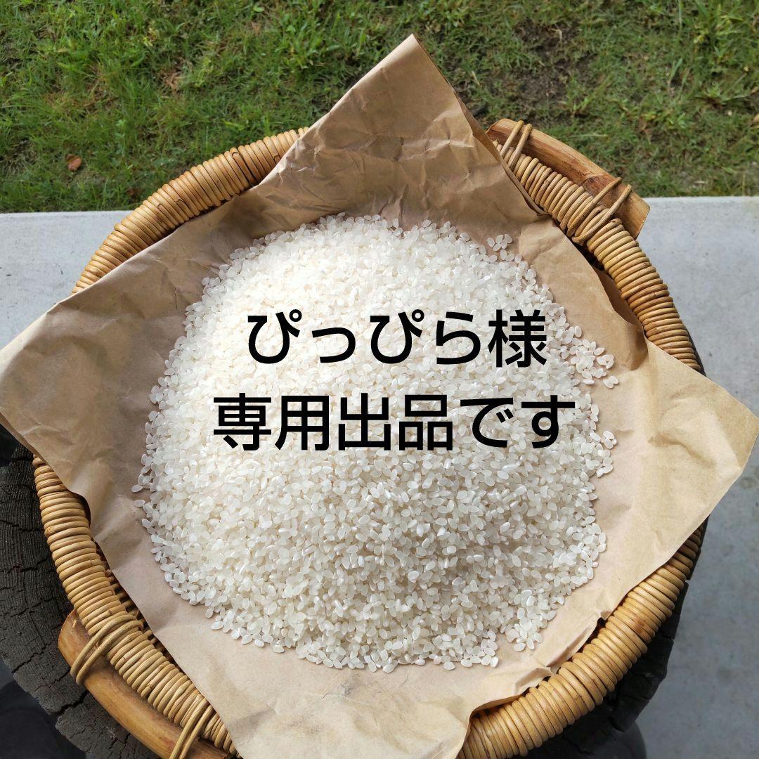 減農薬岐阜県産美濃コシヒカリ20kg ⑨