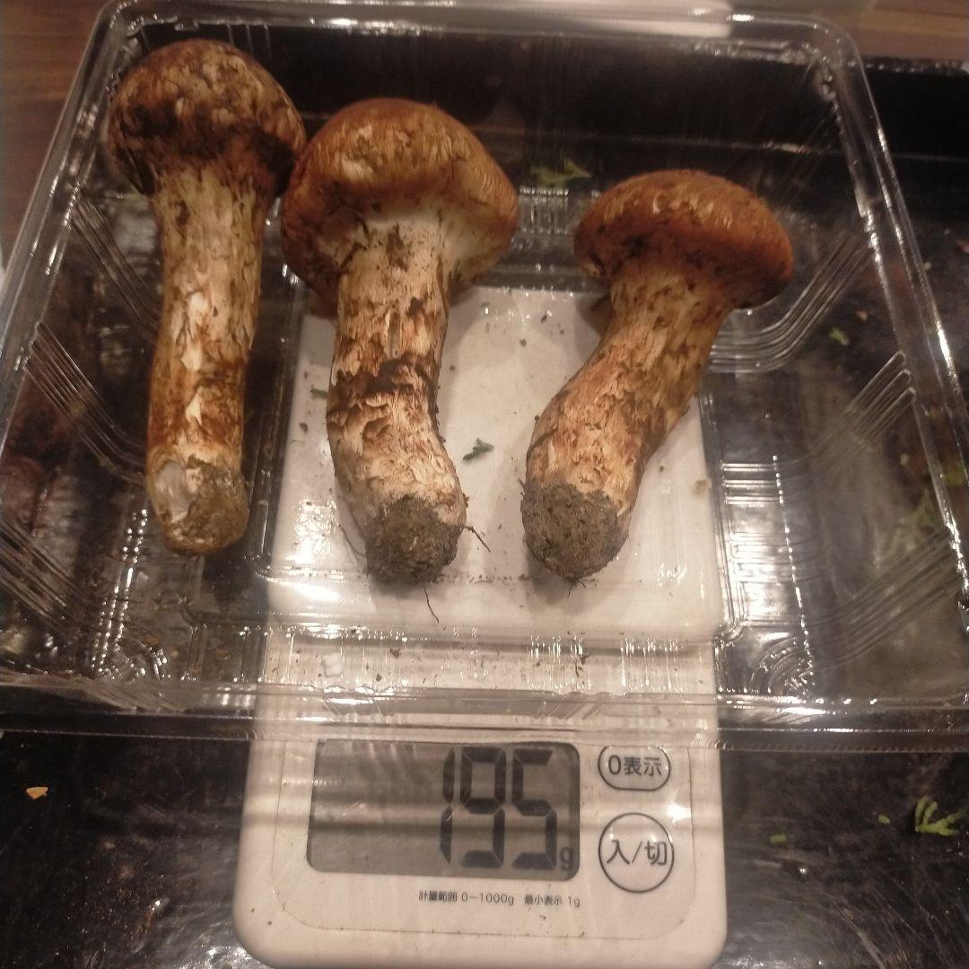 ①信州産 松茸　長野県　クール便　190g
