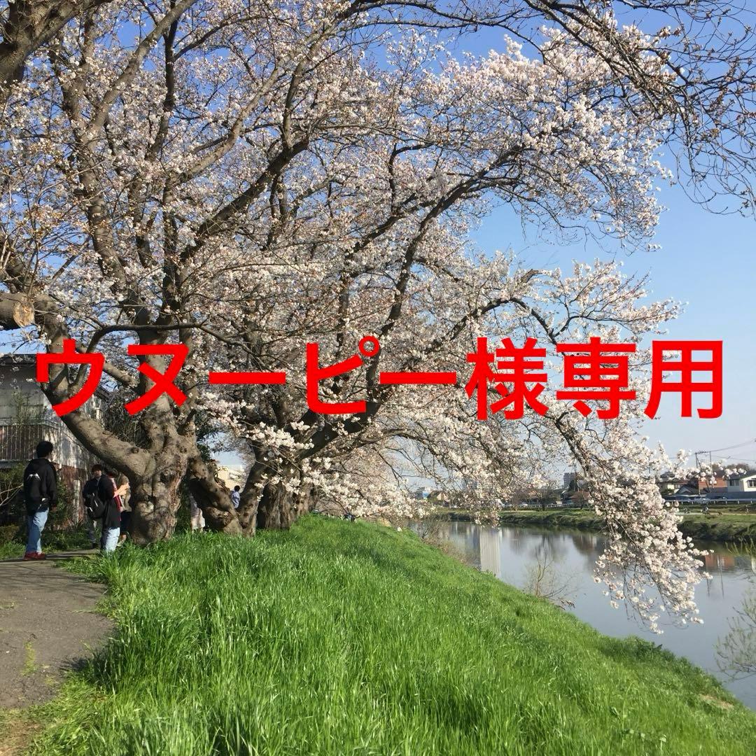 ウヌーピー