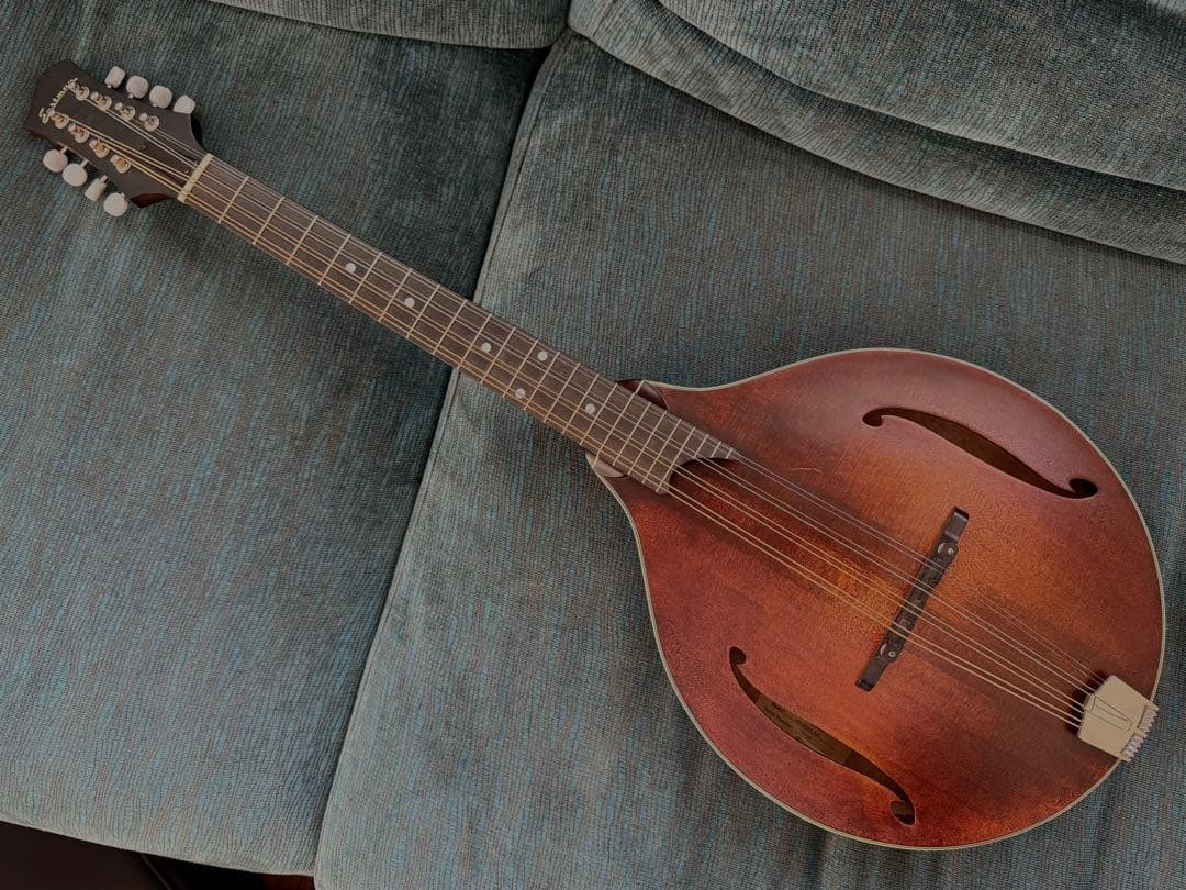 【最終価格】Eastman MDO-305 オクターブマンドリン
