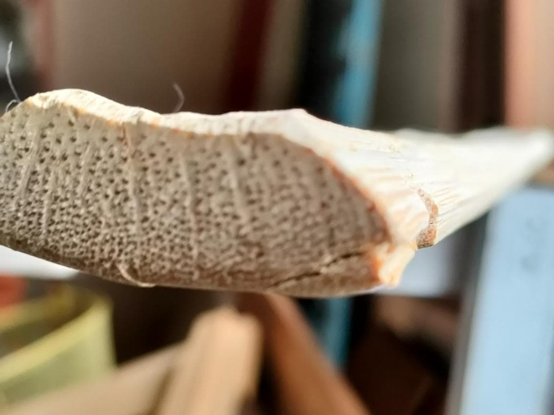 サンドペグ、スノーペグ 70cm