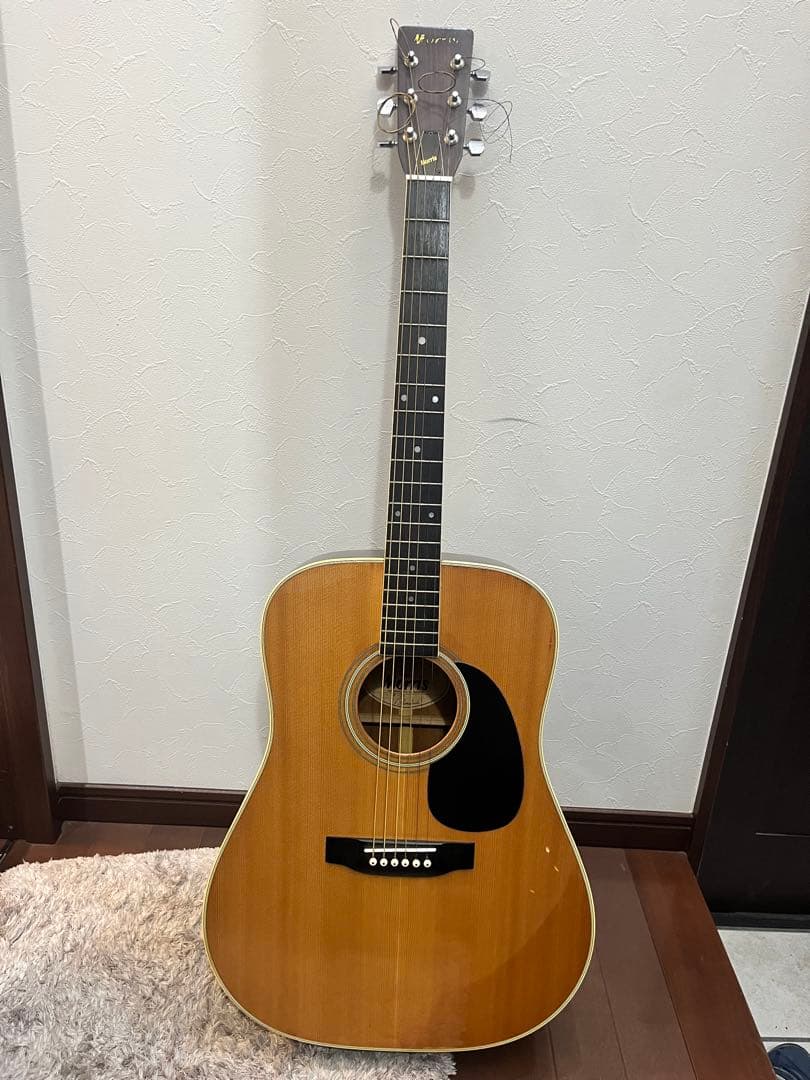 Morris W20 ギター アコースティックギター モーリス