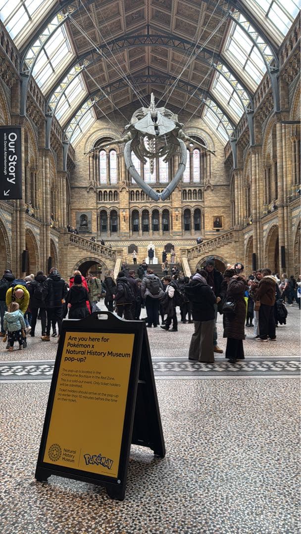 Sale 5枚 ピカチュウ at the Museum 自然史博物館 ロンドン