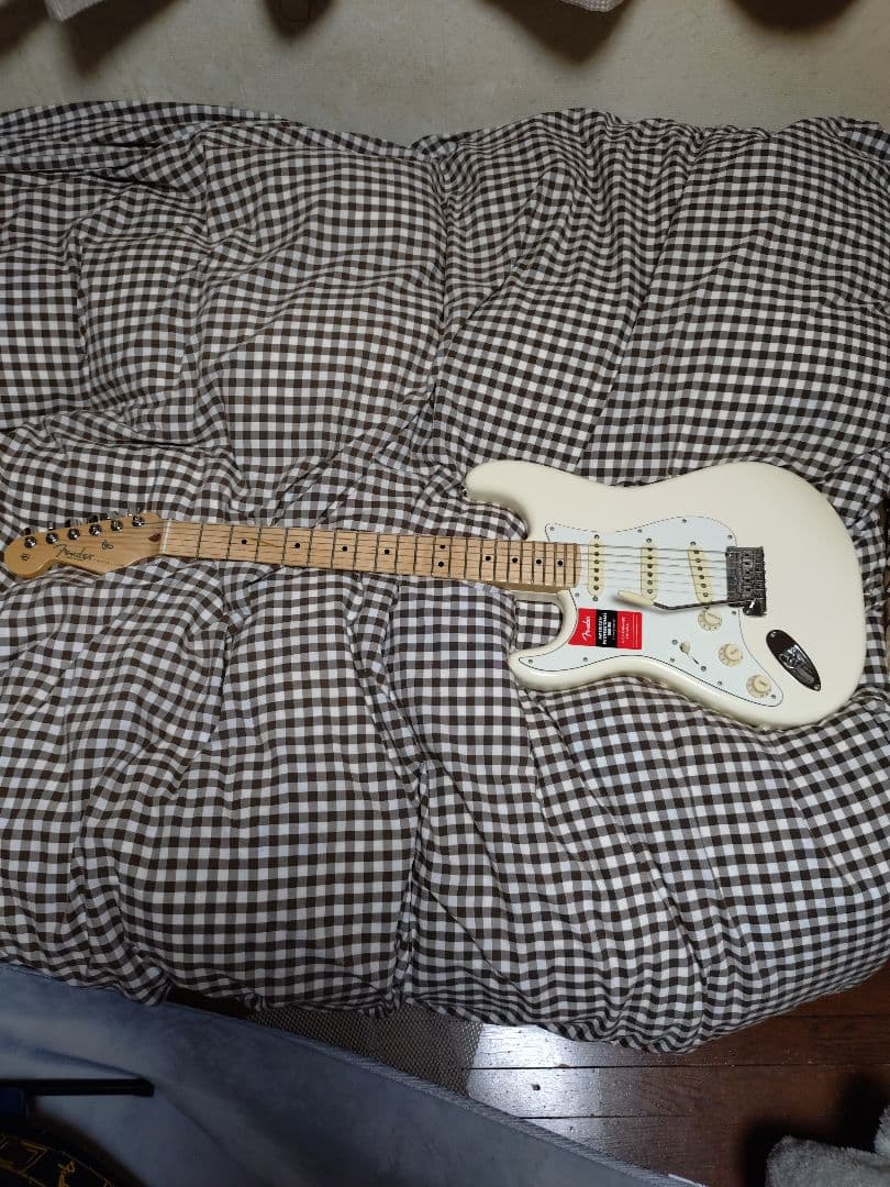 Fender AmericanProfessionalレフティ ハードケース付き