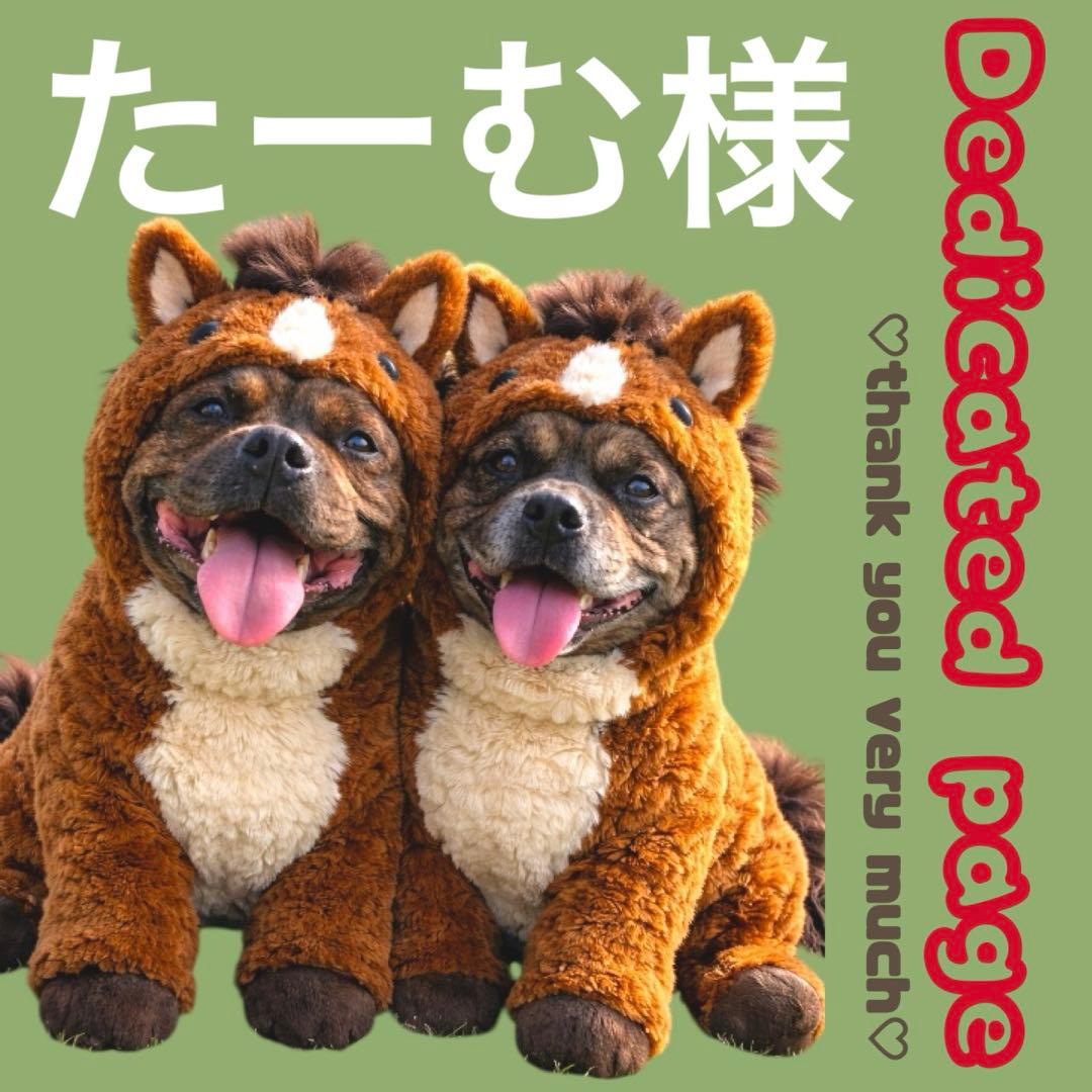 たーむ