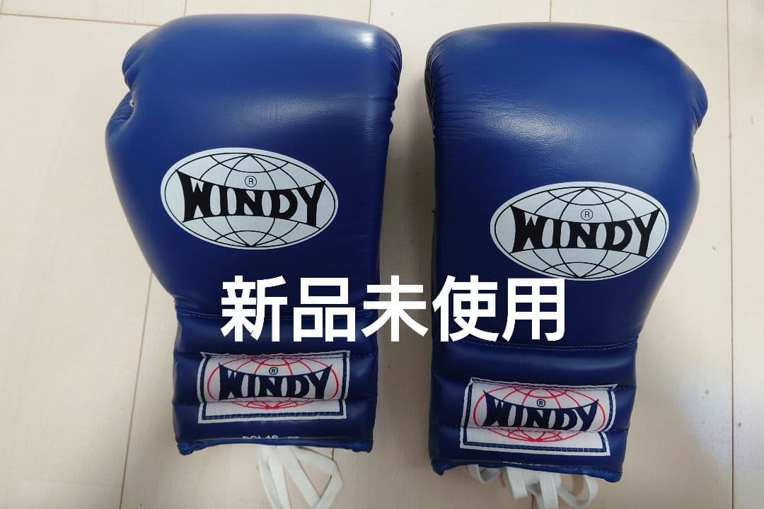 ＷＩＮＤＹ １６オンスグローブ　青　紐式