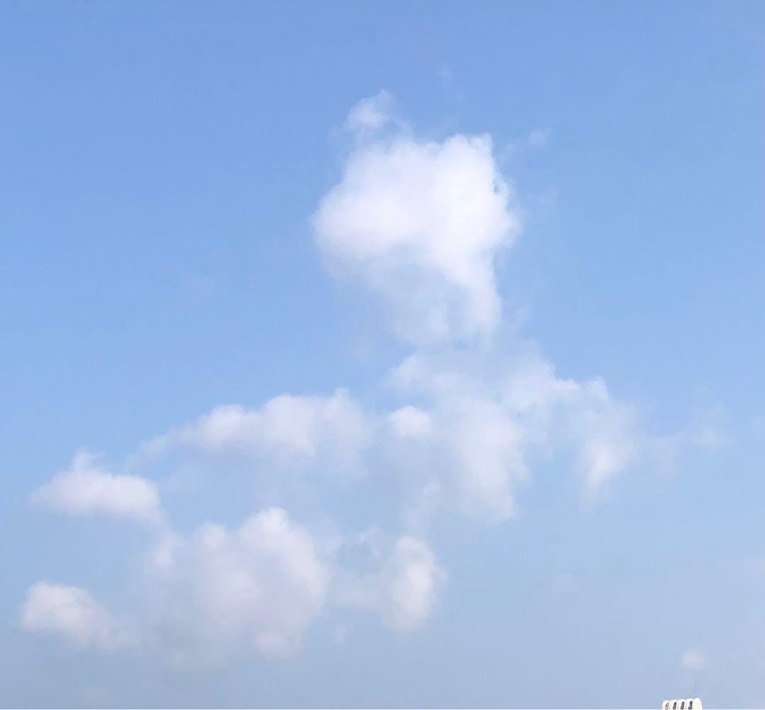 おまとめ♡