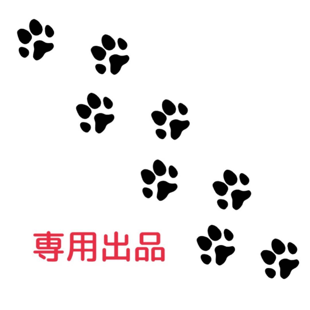 kana出品