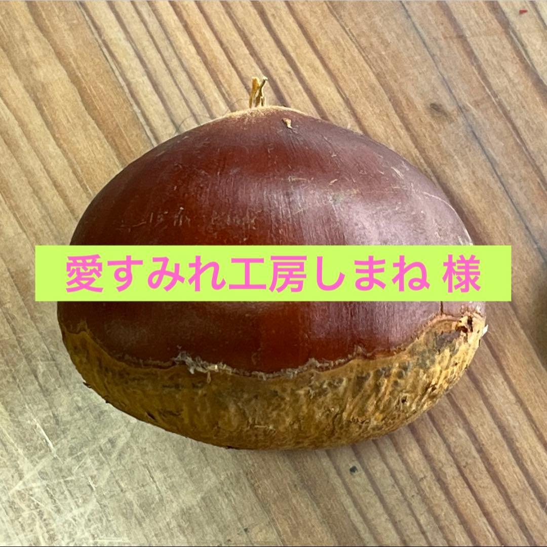 栗 \